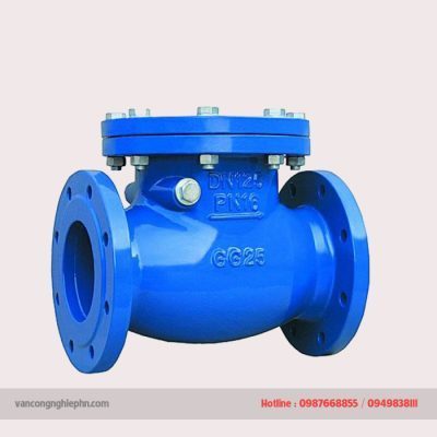 Van 1 chiều lá DN50-DN300